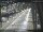 Webcam in Sydney, 288.4 mi away