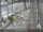 Webcam in Sydney, 686.4 km