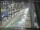 Webcam in Sydney, 718 km