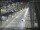 Webcam in Sydney, 5.2 km
