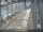 Webcam in Sydney, 24.4 km