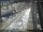 Webcam in Sydney, 1.1 km entfernt