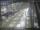 Webcam in Sydney, 195 mi away