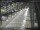 Webcam in Sydney, 669.3 km
