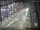 Webcam in Sydney, 760.2 km