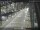 Webcam in Sydney, 682.5 km