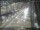 Webcam in Sydney, 294.5 km entfernt