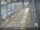 Webcam in Sydney, 258.9 mi away