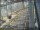 Webcam in Sydney, 6.2 km entfernt