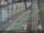 Webcam in Sydney, 849.9 km entfernt