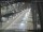 Webcam in Sydney, 11.4 km entfernt