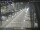 Webcam in Sydney, 722.9 km
