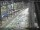 Webcam in Sydney, 271.1 mi away