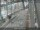 Webcam in Sydney, 713.1 km entfernt