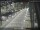 Webcam in Sydney, 743.9 km