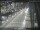 Webcam in Sydney, 258.6 mi away