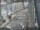 Webcam in Sydney, 240.4 mi away