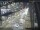 Webcam in Sydney, 677.1 km