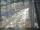 Webcam in Sydney, 1168.1 km entfernt