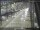 Webcam in Sydney, 281.9 mi away