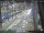 Webcam in Sydney, 720.9 km