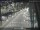 Webcam in Sydney, 264.6 mi away