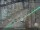 Webcam in Sydney, 738 km entfernt