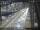 Webcam in Sydney, 1.1 km entfernt
