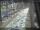 Webcam in Sydney, 5 mi away