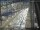 Webcam in Sydney, 1168.1 km