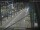 Webcam in Sydney, 736.6 km entfernt