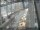 Webcam in Sydney, 631.5 km