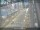 Webcam in Sydney, 259.6 mi away
