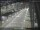 Webcam in Sydney, 286.9 mi away