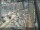 Webcam in Sydney, 312.3 km entfernt