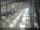 Webcam in Sydney, 1171 km