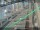 Webcam in Sydney, 268.5 mi away