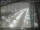 Webcam in Sydney, 267.4 mi away