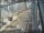 Webcam in Sydney, 757.8 km