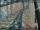 Webcam in Sydney, 283.5 mi away