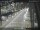 Webcam in Sydney, 275.7 mi away