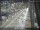 Webcam in Sydney, 291.9 mi away