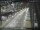 Webcam in Sydney, 11.4 km