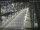 Webcam in Sydney, 13 km
