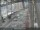 Webcam in Sydney, 607.6 km entfernt