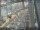 Webcam in Sydney, 195.4 mi away