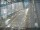 Webcam in Sydney, 1168.1 km entfernt