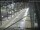 Webcam in Sydney, 278.3 mi away