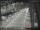 Webcam in Sydney, 278.4 mi away