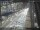 Webcam in Sydney, 505.5 km